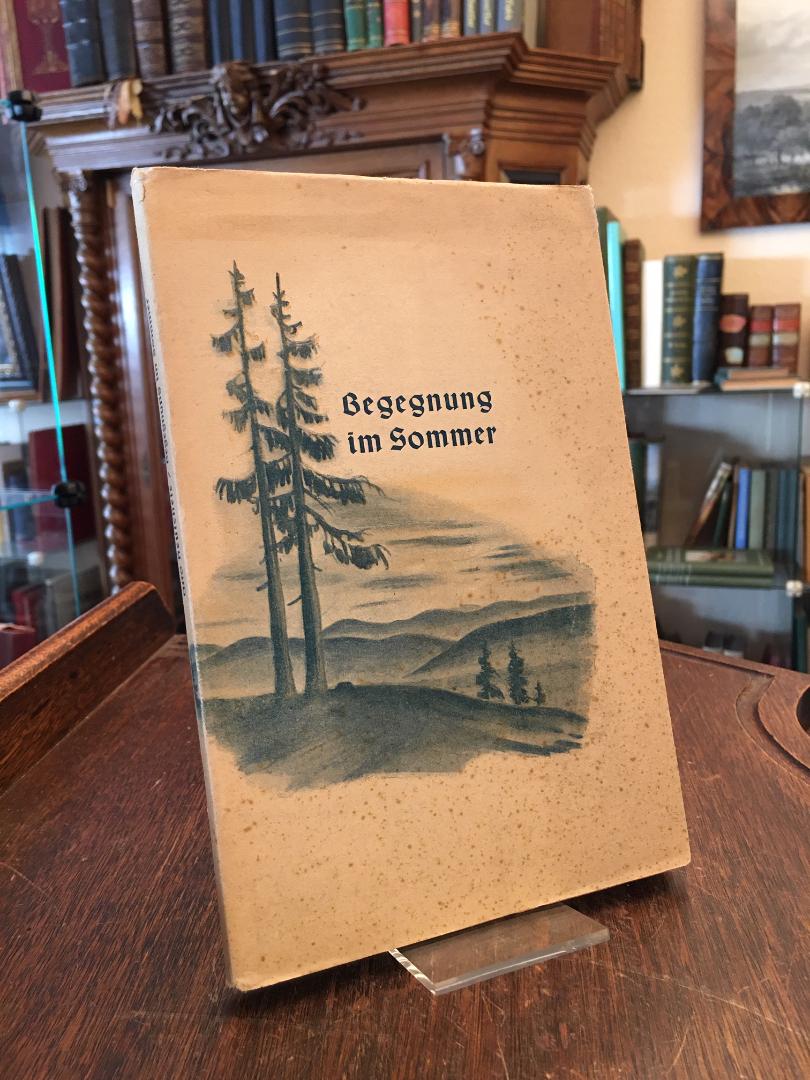 Heuschele, Begegnung im Sommer : Erzählung.