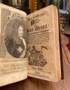 Neu-eröffneter Welt- und Staats-Spiegel : Worinnen die in Europa / wie auch ande